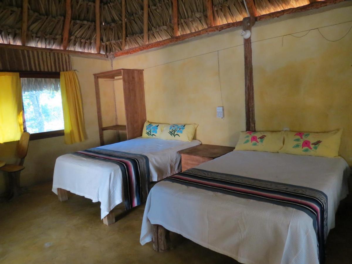 Cabanas Calakmul Conhuas 外观 照片