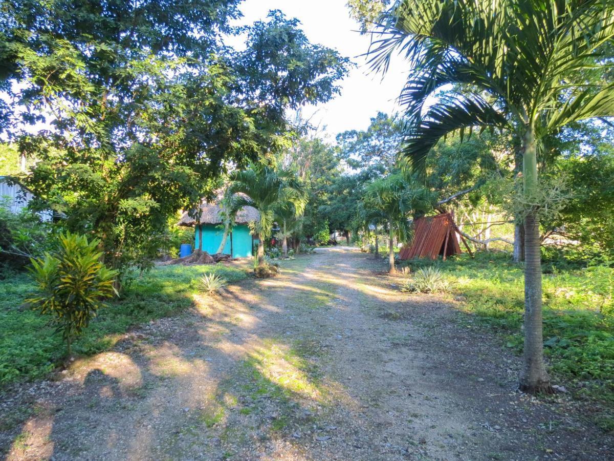 Cabanas Calakmul Conhuas 外观 照片