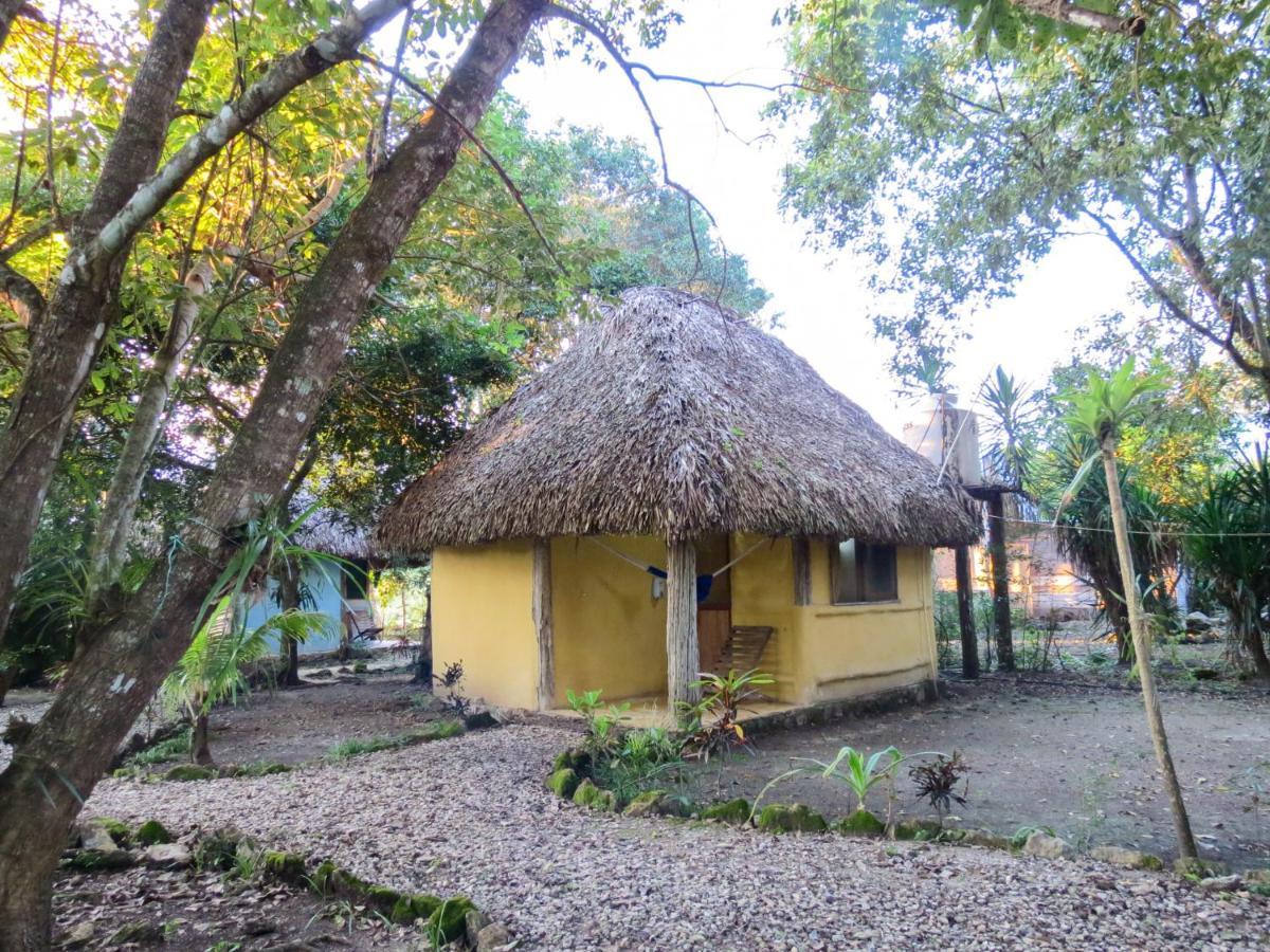 Cabanas Calakmul Conhuas 外观 照片