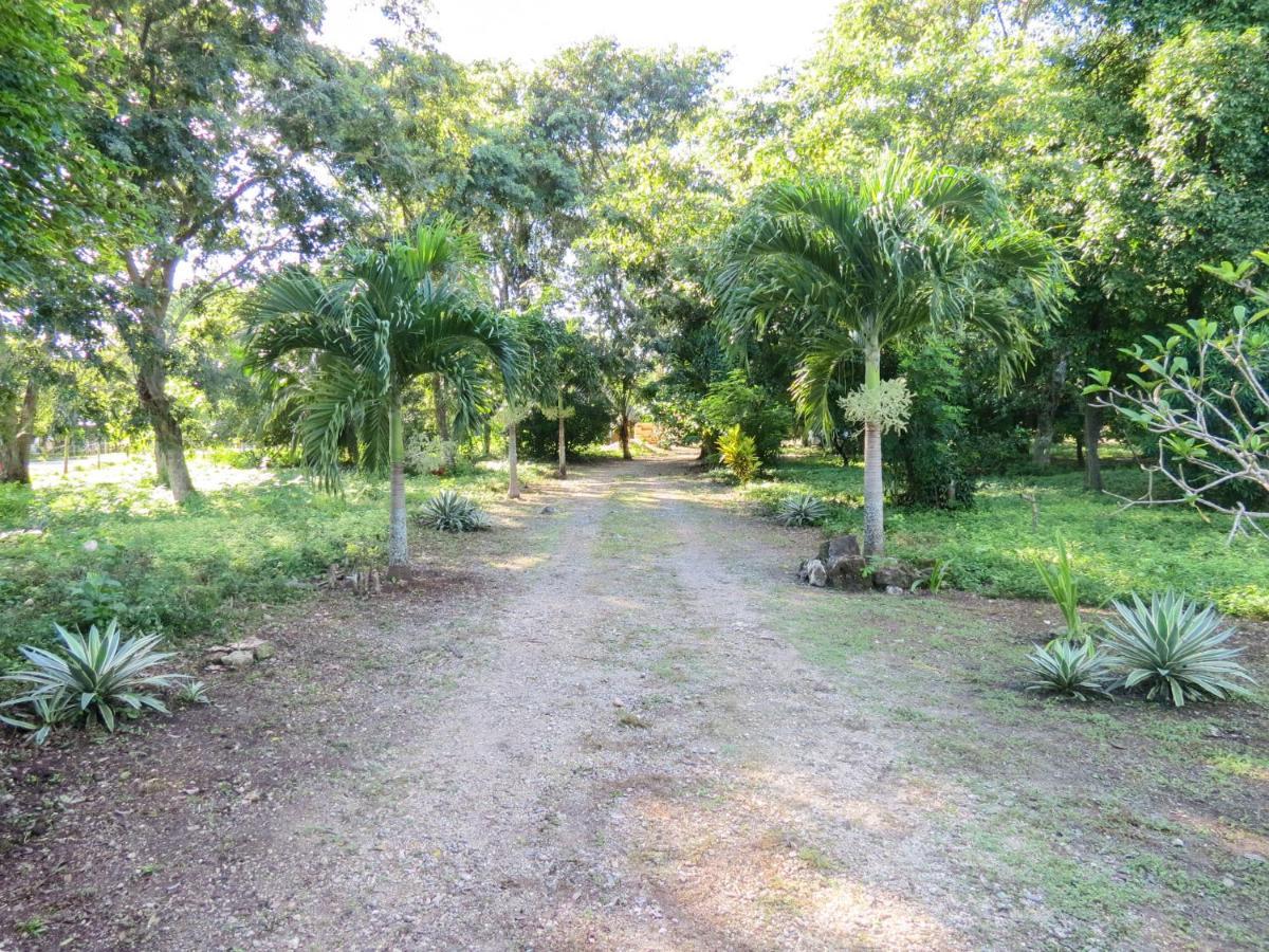 Cabanas Calakmul Conhuas 外观 照片