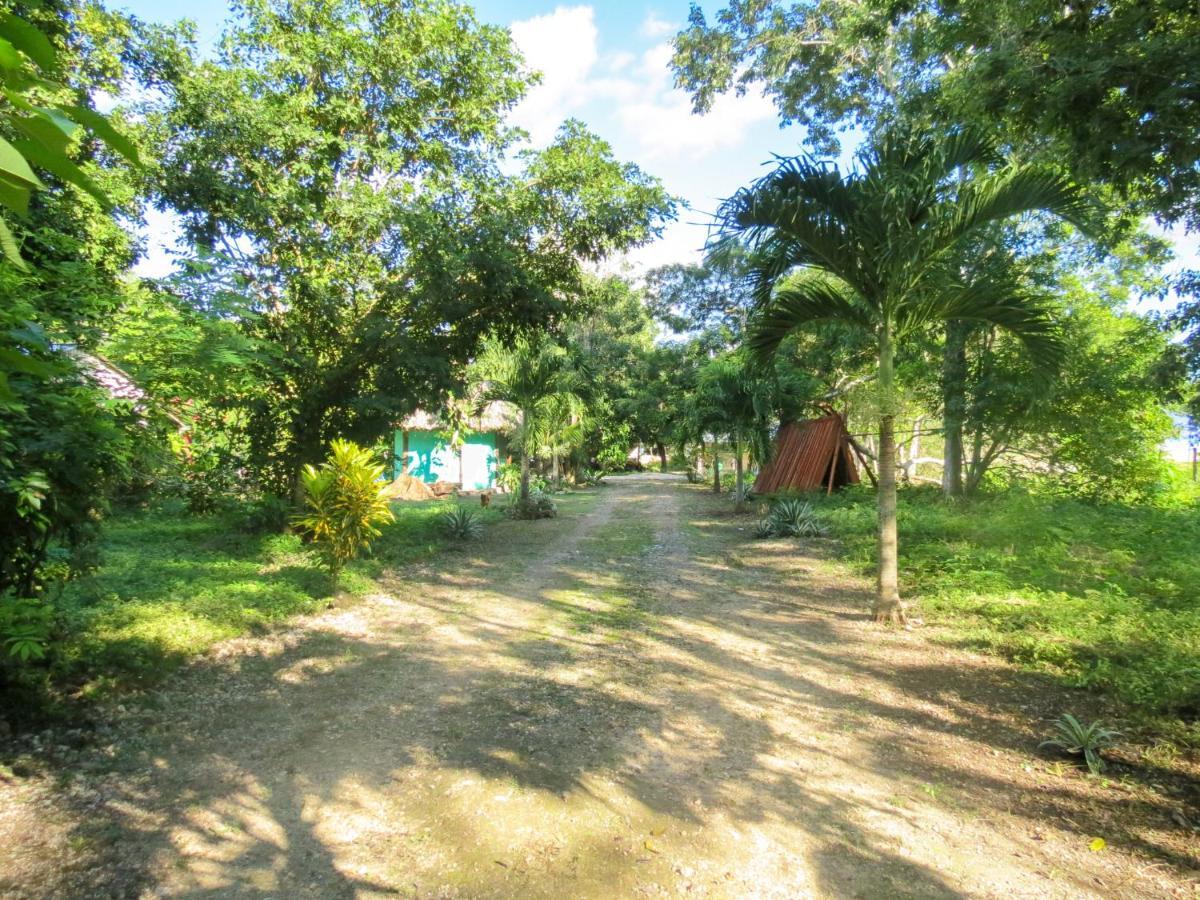 Cabanas Calakmul Conhuas 外观 照片